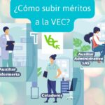 VEC (ventanilla electronica profesionales)